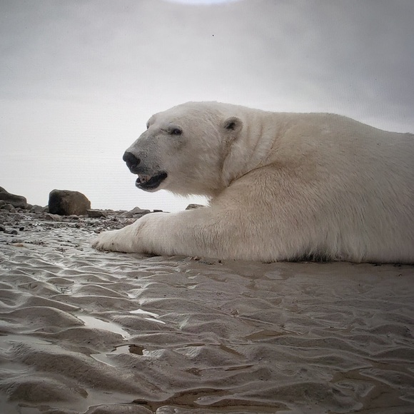 Meet your Posher, Kate - Picture 16 of 17